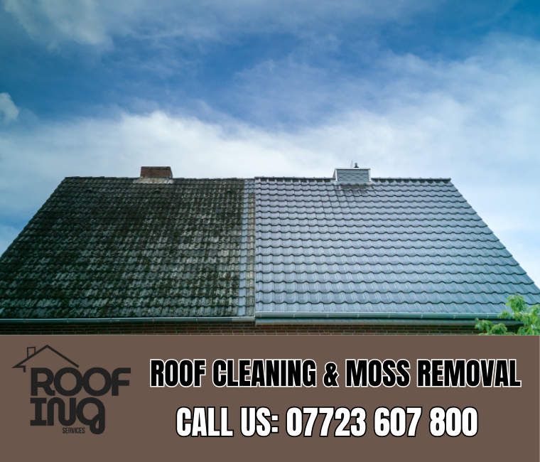 Roof Cleaning in Penzance